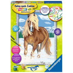 Ravensburger 00.028.780 Color by numbers kit