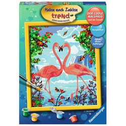 Ravensburger 00.028.901 Color by numbers kit