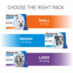FRONTLINE Spot On Flea & Tick Treatment for Small Dog (2-10kg) 6 Pipettes