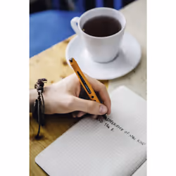 STABILO worker+ medium Stick pen Black 10 pc(s)