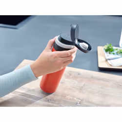 Leifheit 03273 travel mug 600 ml Black, Red Stainless steel