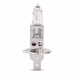 NEOLUX® N448 Bulb, spotlight H1 12V 55W Halogen FORD: Transit Custom V362 Van, FOCUS 3, FIESTA 6, VAUXHALL: Insignia Mk1, INSIGNIA Mk1