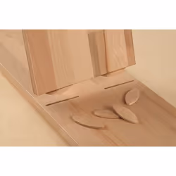 wolfcraft GmbH 2922000 dowels Beech Biscuit