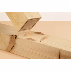 wolfcraft GmbH 2922000 dowels Beech Biscuit