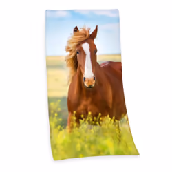 HERDING 6124206516, 75 x 150 cm, Cotton, Multicolour, 1 pc(s)