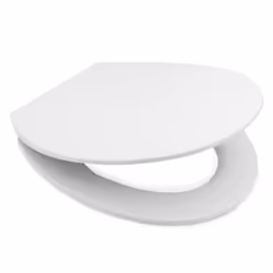 RIDDER Toilet Seat Memphis with Soft-close Toilet Bowl Seat WC Seat with Lid - White