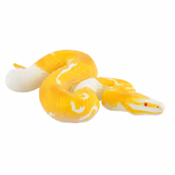 BULLYLAND Albino Königsphyton, 3 yr(s), White, Yellow, 1 pc(s)