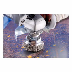 PFERD TBU 60/M14 ST 0,30 wire wheel/wheel brush 6 cm