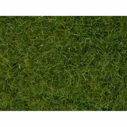 NOCH 07092, Light Green