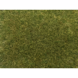 NOCH Wild Grass, medium green, Green