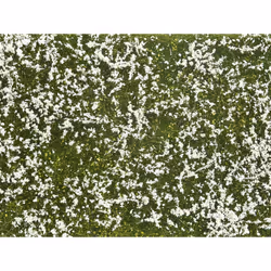 NOCH In Full Bloom!, Green, White