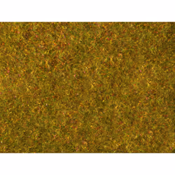 NOCH 07290, Green, Yellow