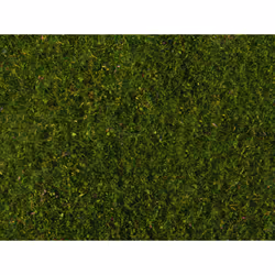 NOCH 07291, Green