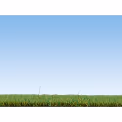 NOCH Scatter Grass “Meadow”