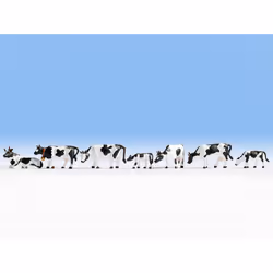 NOCH 15721, Black, White