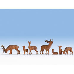 NOCH Deers