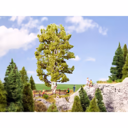 NOCH Double Trunk Birch scale model part/accessory Tree