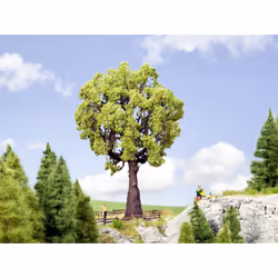 NOCH Oak Tree, Green