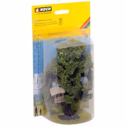NOCH 21765, Brown, Green