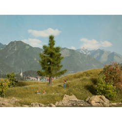 NOCH Pine Tree