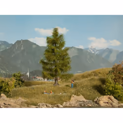 NOCH Pine Tree, Green