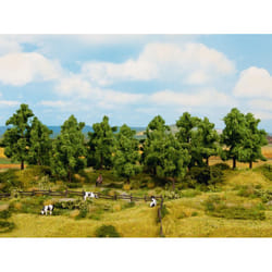 NOCH Deciduous Trees