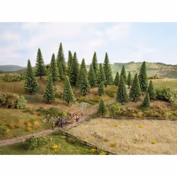 NOCH Model Spruce Trees scale model part/accessory Tree