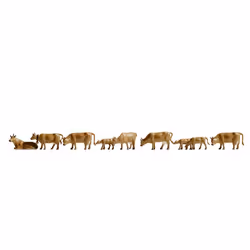 NOCH 36722, N (1:160), Dark brown