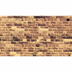 NOCH 57570, 14 yr(s), Brown, Yellow