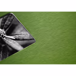 Hama Fine Art photo album Green 300 sheets 10 x 15, 13 x 18 - Additional view 4
