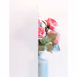 d-c-fix Frost 675 mm 1.5 m Static cling
