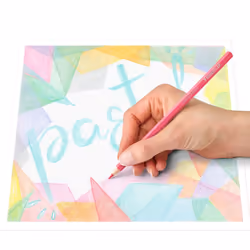 STAEDTLER 146 C12 Pa Pastel Coloured Pencils  Pack of 12 Colours