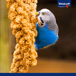 Vitakraft 21299 pet bird food 300 g - Additional view 2