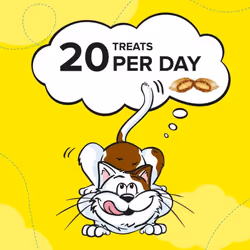 DREAMIES Cat Treats With Cheese 2x350g MegaTub