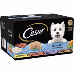 Cesar 10+ - Wet Dog Food for Senior Dogs Chicken, Beef, Lamb and Turkey in Delicate Jelly, 24 Trays (24 x 150 g)