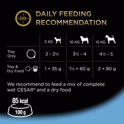 Cesar 10+ - Wet Dog Food for Senior Dogs Chicken, Beef, Lamb and Turkey in Delicate Jelly, 24 Trays (24 x 150 g)