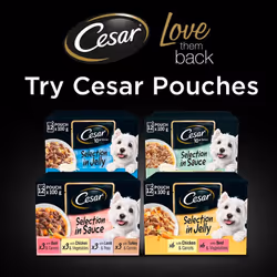 24 x 150g Cesar Senior Dog Food Trays Mixed Selection in Jelly