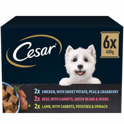 6 x Cesar Natural Goodness Adult Dog Food Tins Mixed Selection In Loaf 400g