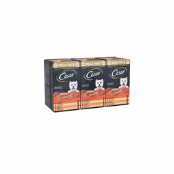 Cesar Adult Wet Dog Food Trays Mixed in Loaf, 24 x 150g