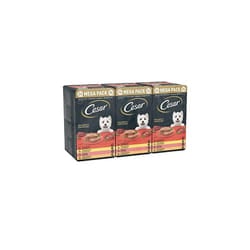 Cesar Adult Wet Dog Food Trays Mixed in Loaf, 24 x 150g