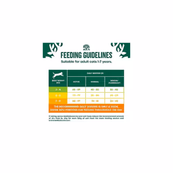 Adult High Protein Chicken and Turkey 4 kg Bag, Hypoallergenic Dry Cat Food
