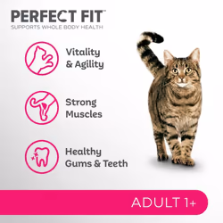 Cat Complete Dry Adult 1+ Chicken 7kg