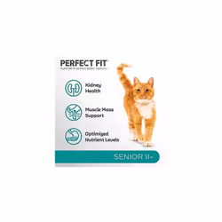 Senior 11+ Complete Dry Cat Food for Senior Cats Aged 11+ Years, Rich in Chicken, 3 Bags (2.8 kg)