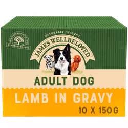 James Wellbeloved Adult Wet Dog Food Lamb Chicken Rice in Gravy 48x90g