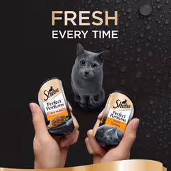 Perfect Portions Cat Food Tray with Turkey Chunks in Gravy (pack of 8)