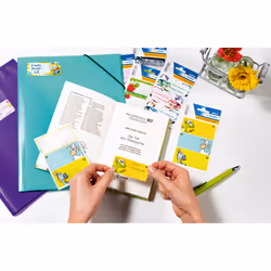 HERMA 5876 self-adhesive label Rectangle Permanent Multicolour 9 pc(s)
