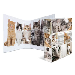 HERMA 7166 ring binder Multicolour