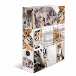 HERMA 7166 ring binder Multicolour
