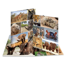 HERMA 19214 folder Cardboard Multicolour A4