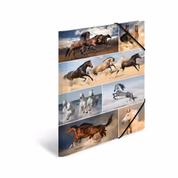 HERMA 19217 folder Cardboard Multicolour A3